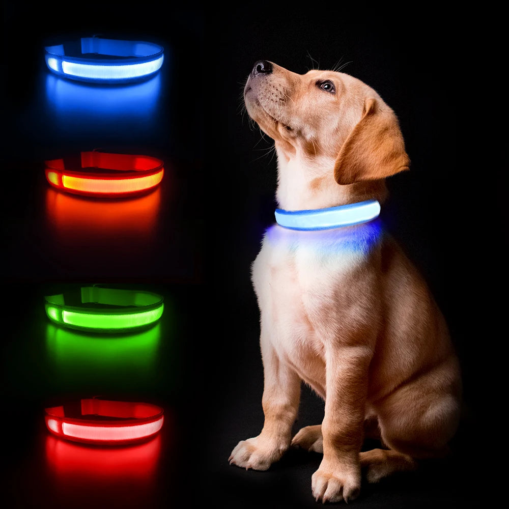 Luminous Dog Collar  Waterpoof Safety Collar