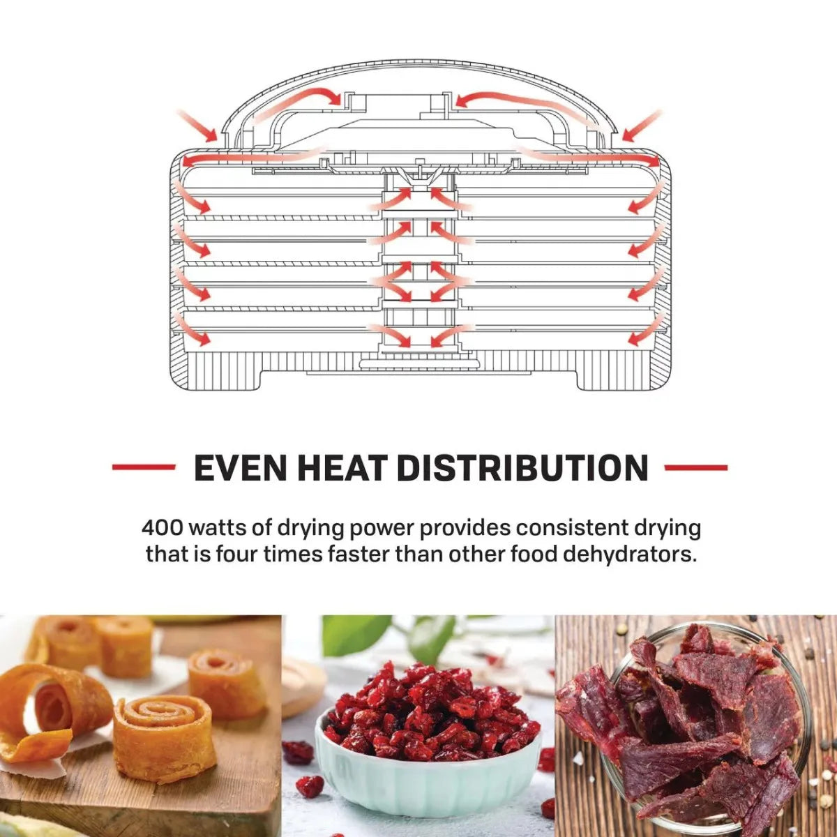 5 Tray Food & Jerky Dehydrator