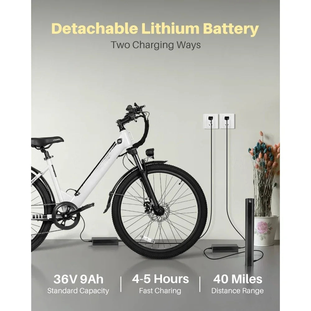 Electric Bike, 350W Motor