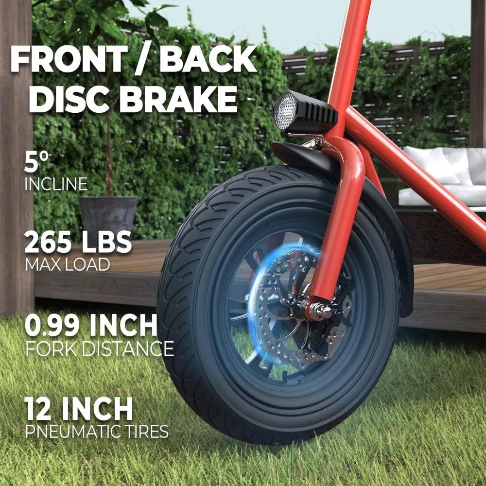 Electric Scooter 450W