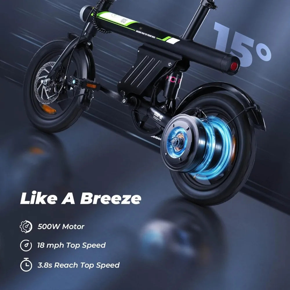 Electric Bike 750W