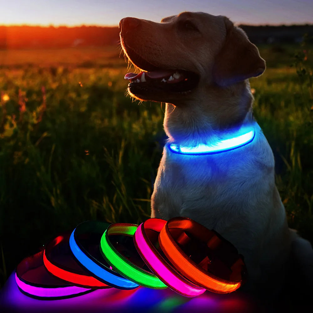 Luminous Dog Collar  Waterpoof Safety Collar