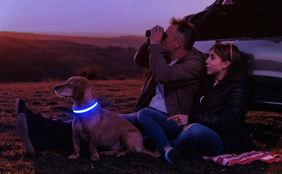 Luminous Dog Collar  Waterpoof Safety Collar