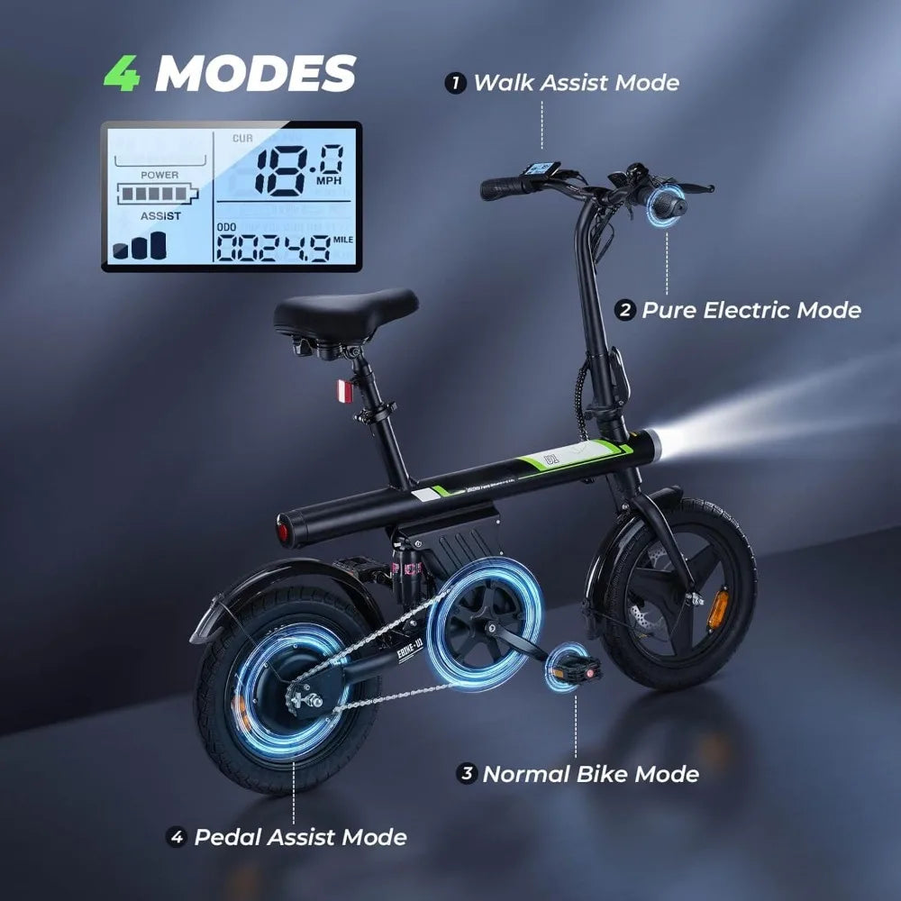 Electric Bike 750W